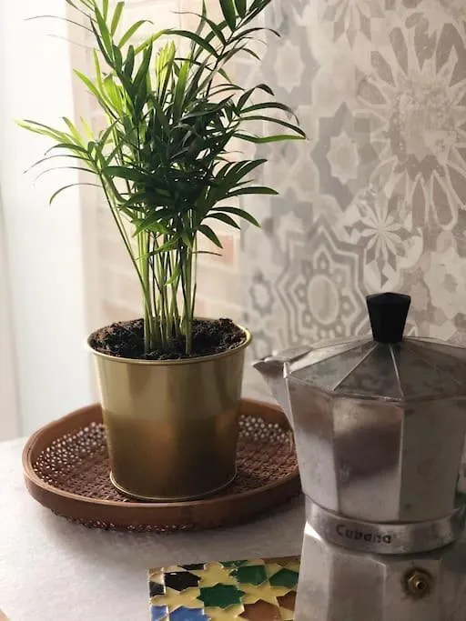 Tabula House - 4 Elements Apartment Catania Italy